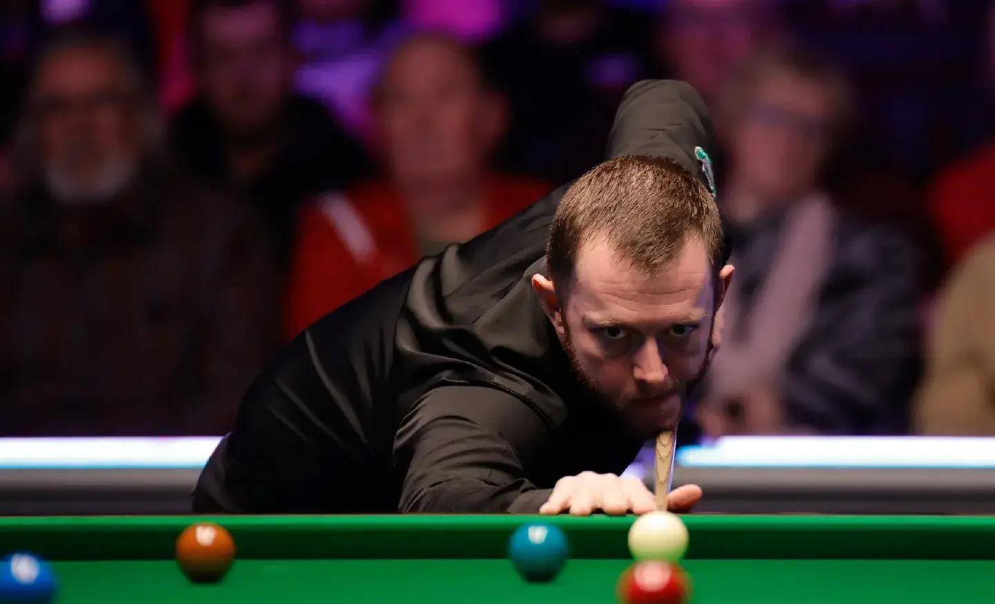 对的本能 对的本能